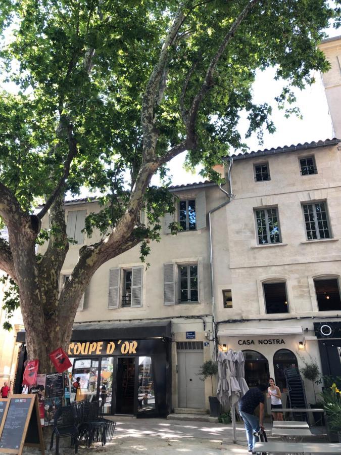 Avignon Pedestrian Area, Charming, 4 Persons Lägenhet Exteriör bild